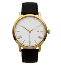 Часы мужские Sagitta Date L01D-MG с белым циферблатом